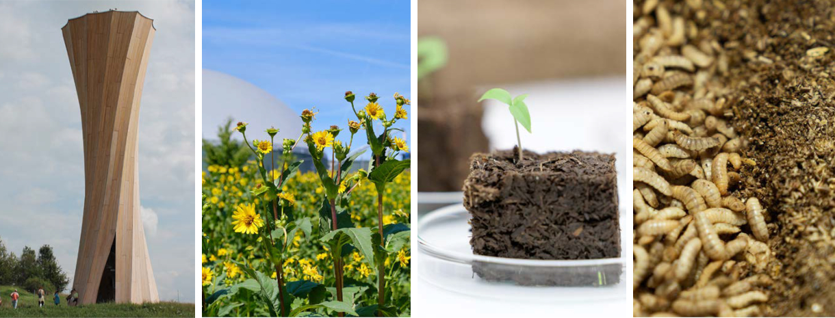 Titelbild_Landinfo_4_2025_Bioökonomie