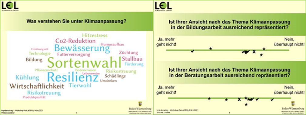 Rückmeldung der Teilnehmenden