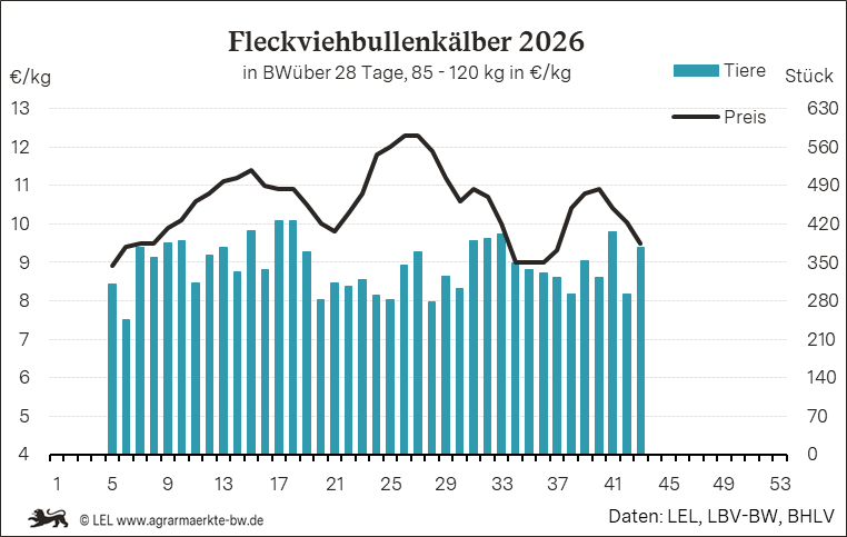 Bilder anzeigen