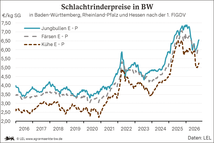 Bilder anzeigen