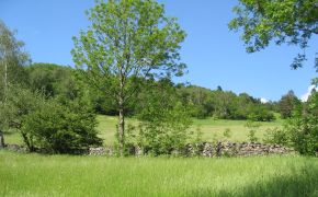 Energie, Natur und Umwelt - Schutzgebiete
