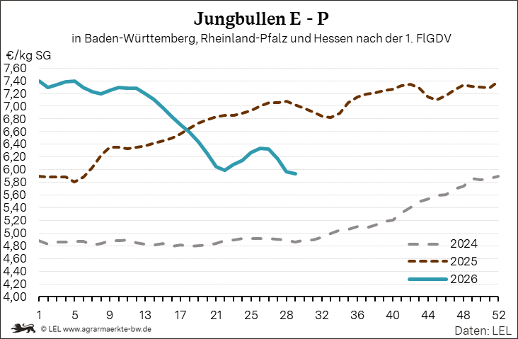 Bilder anzeigen