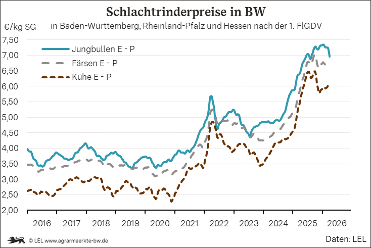 Bilder anzeigen