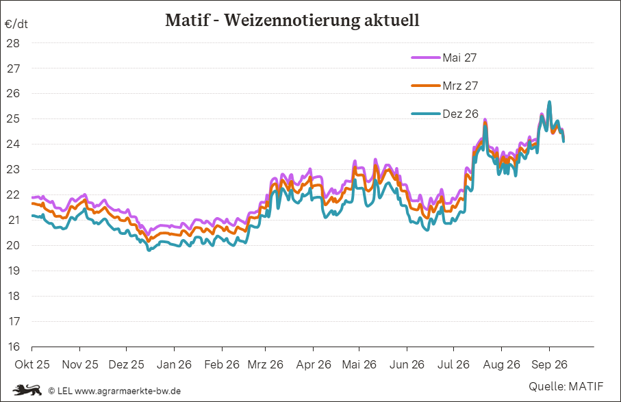 Bilder anzeigen