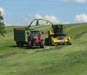 Silagebereitung
