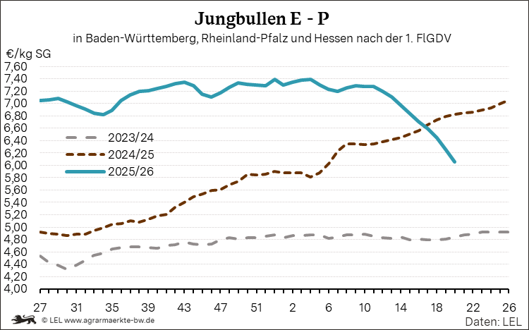 Bilder anzeigen