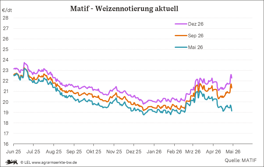 Bilder anzeigen