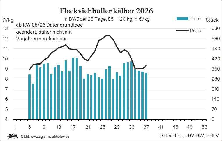 Bilder anzeigen