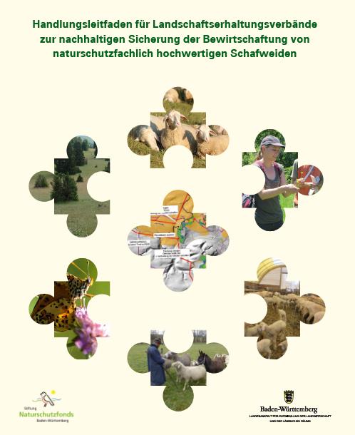 Handlungsleitfaden Schafbeweidung