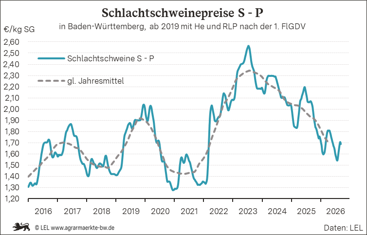 Bilder anzeigen