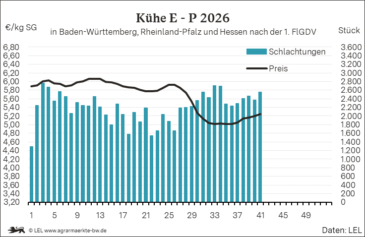 Bilder anzeigen