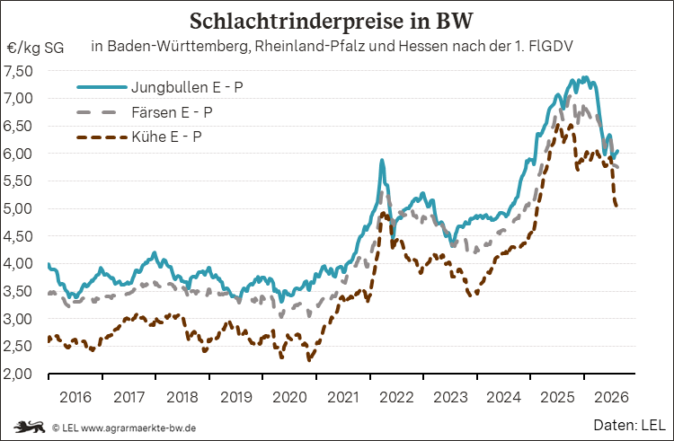 Bilder anzeigen