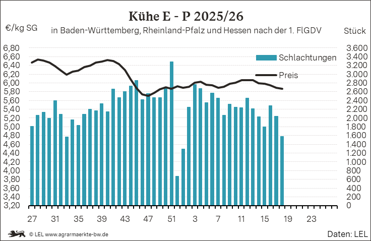 Bilder anzeigen