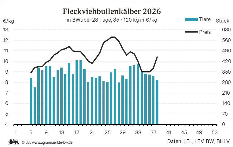 Bilder anzeigen