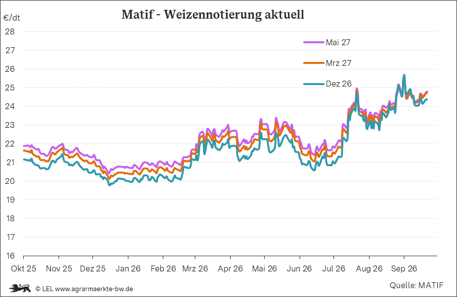 Bilder anzeigen