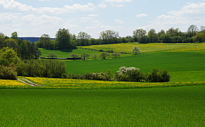 LEL-Maps - Agrarstruktur / Betriebe