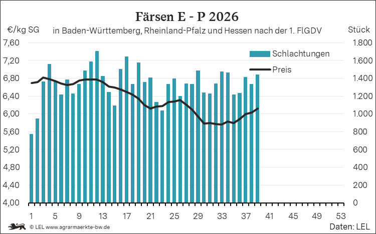 Bilder anzeigen