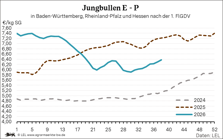 Bilder anzeigen