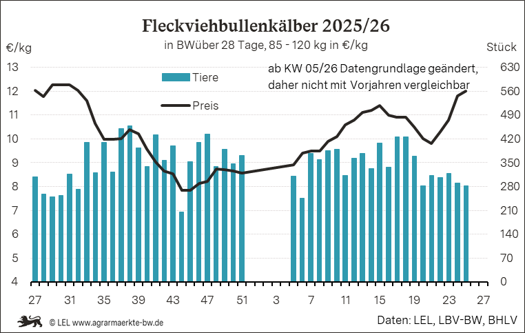 Bilder anzeigen