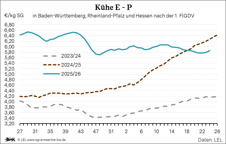 Bilder anzeigen