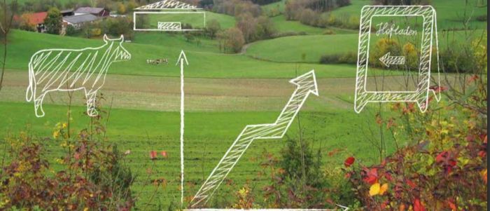 Fabricius, LEL Schwäbisch Gmünd