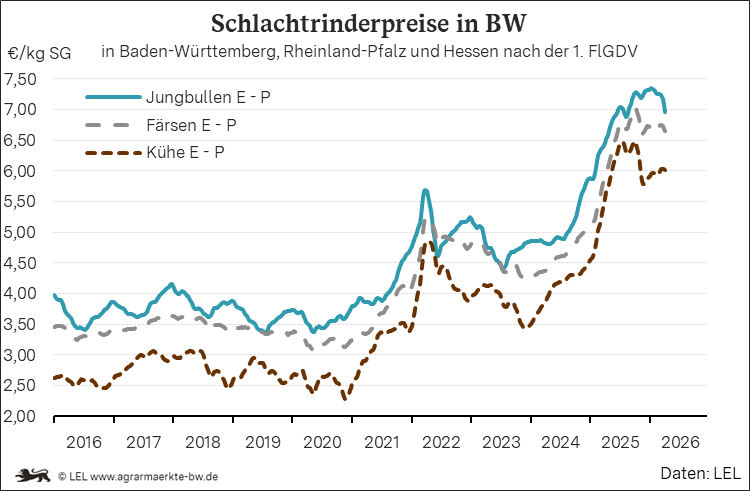 Bilder anzeigen