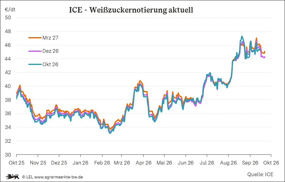 Bilder anzeigen