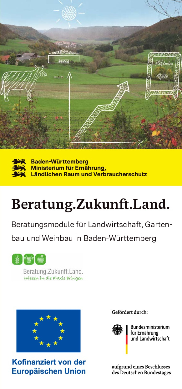 Flyer Beratung.Zukunft.Land.