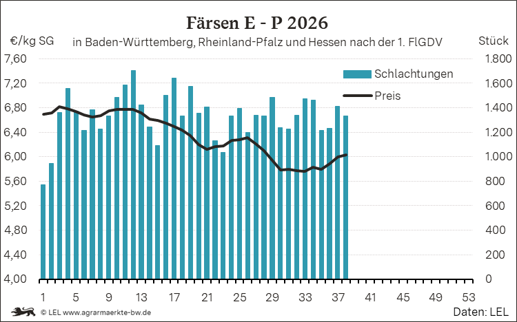 Bilder anzeigen