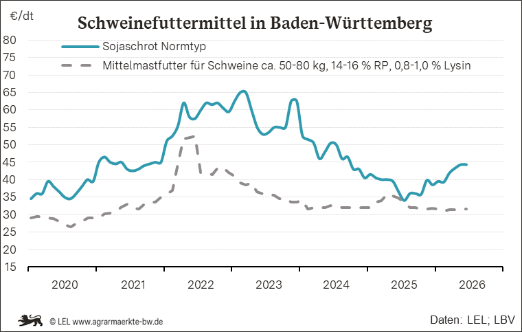 Bilder anzeigen