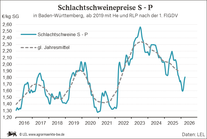 Bilder anzeigen