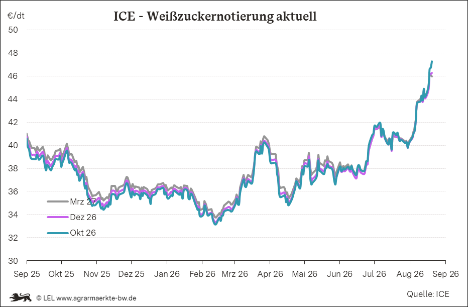 Bilder anzeigen