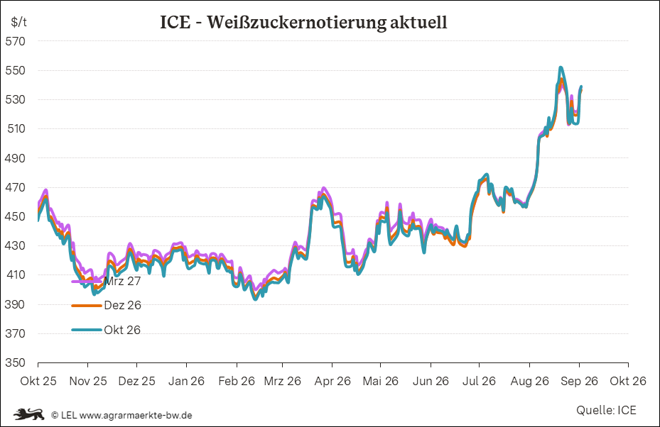 Bilder anzeigen