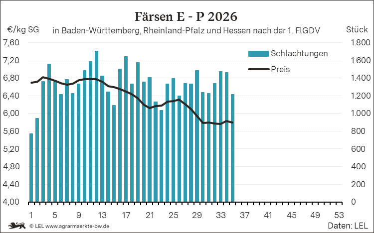 Bilder anzeigen