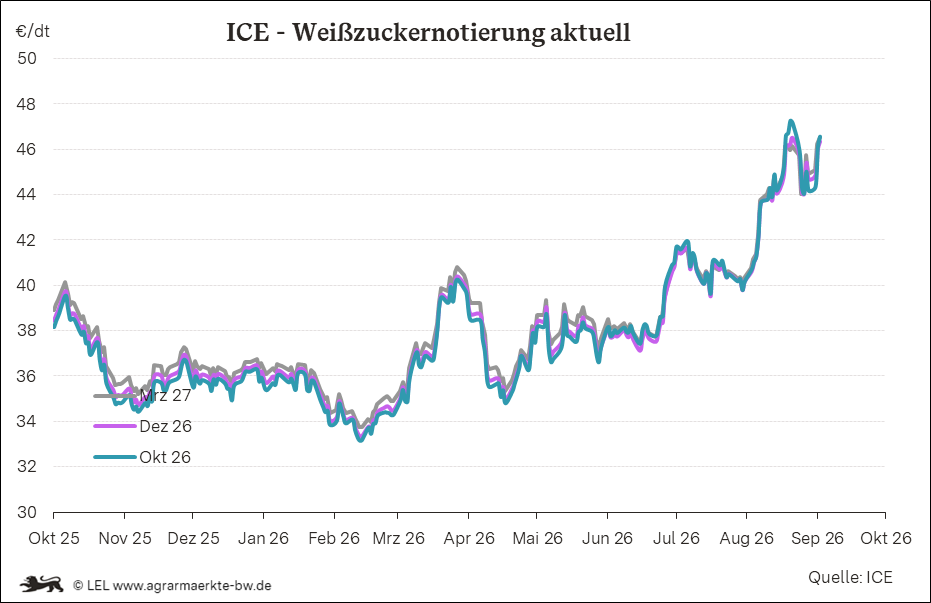 Bilder anzeigen