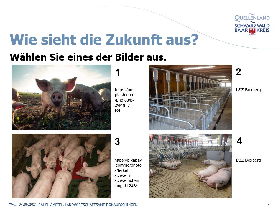 Abfrage Herausforderungen in der Schweinhaltung_Aufbaumodul.JPG