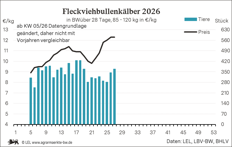 Bilder anzeigen