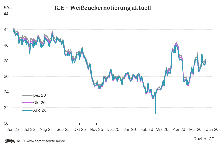 Bilder anzeigen
