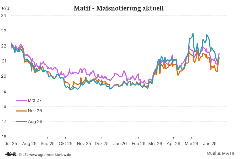 Bilder anzeigen