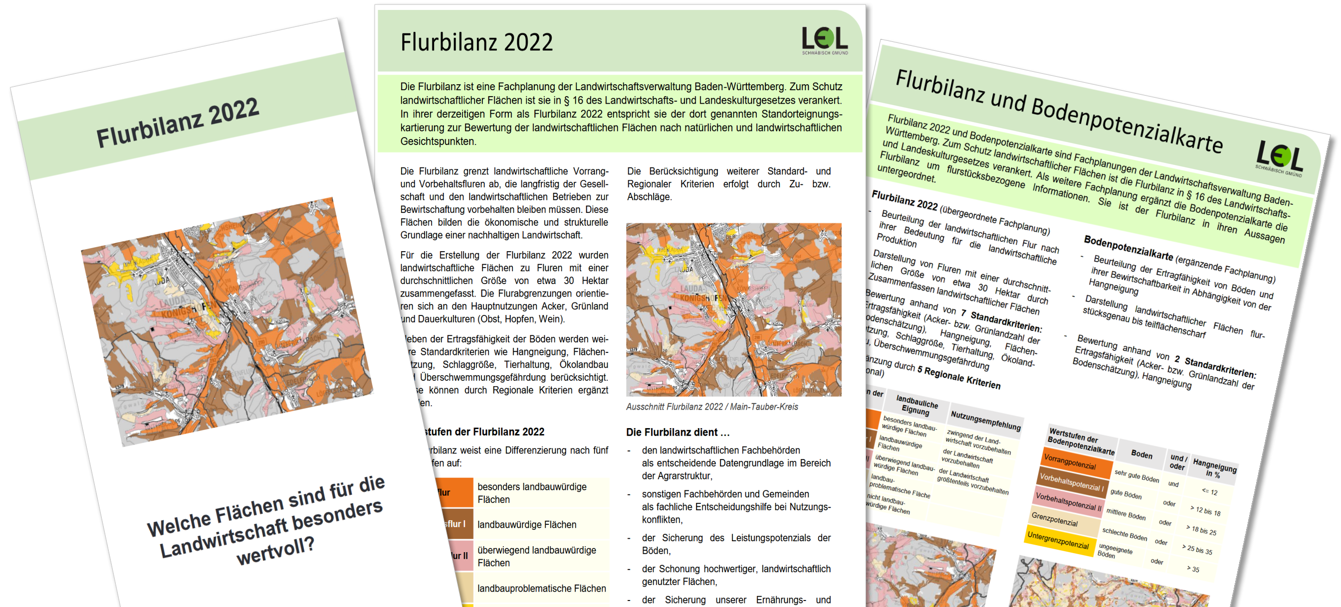 Flurbilanz-Publikationen