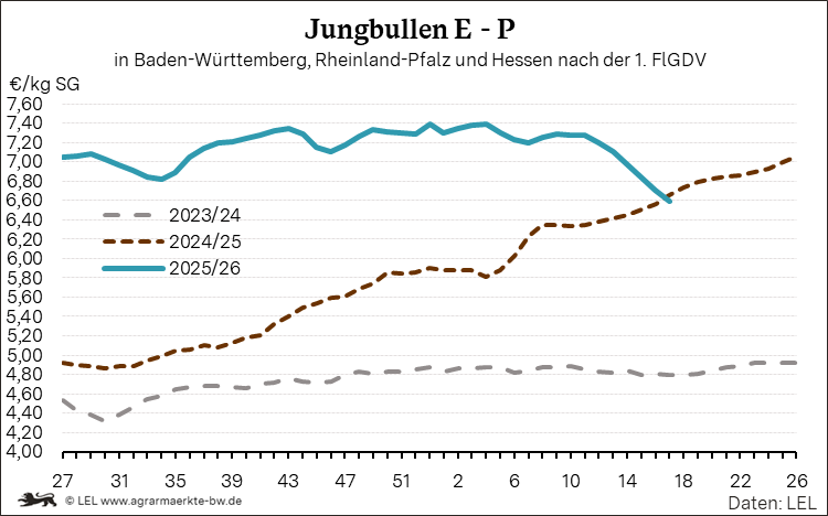 Bilder anzeigen