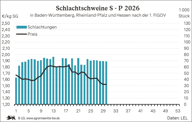 Bilder anzeigen