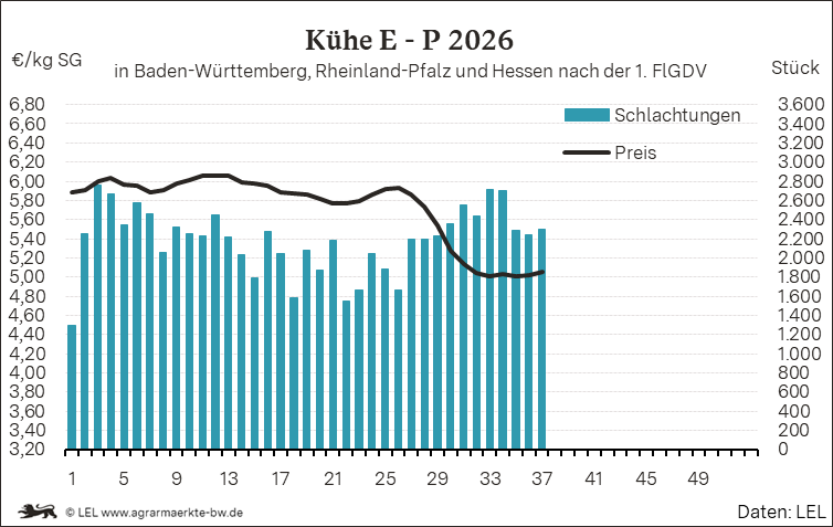 Bilder anzeigen
