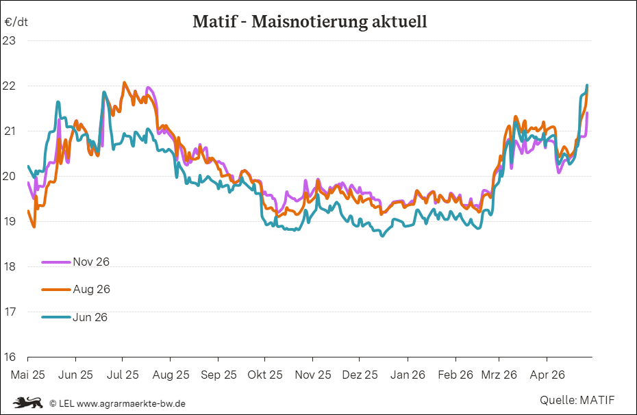 Bilder anzeigen