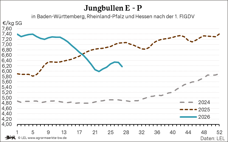 Bilder anzeigen