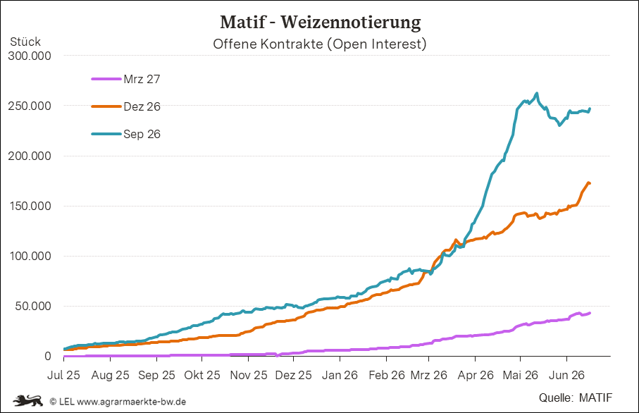 Bilder anzeigen