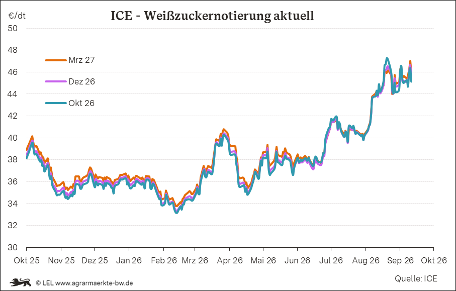 Bilder anzeigen