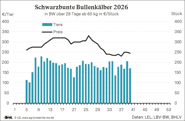 Bilder anzeigen