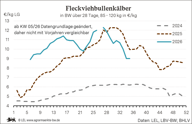 Bilder anzeigen