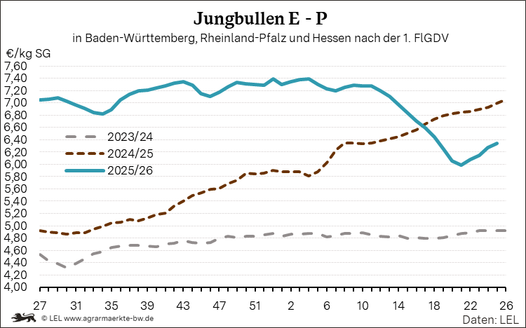 Bilder anzeigen